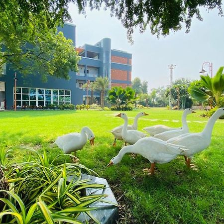 Krishna Riverside Resort Vasad Exterior photo